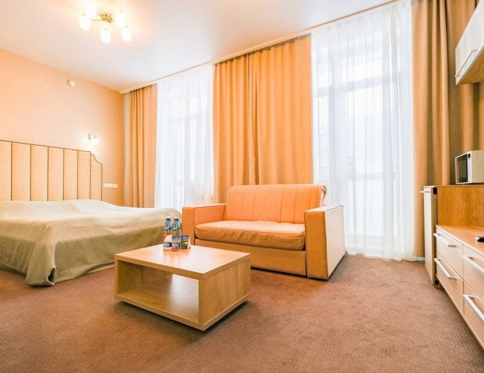 Джуниор сюит 1-местный 1 комнатный - Санаторий «Белокуриха»