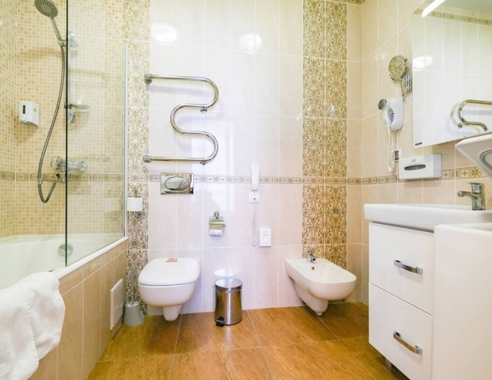 Джуниор сюит 1-местный 1 комнатный - Санаторий «Белокуриха»